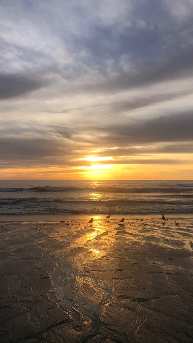 Living Well Now Events and Retreats in Carlsbad, CA. Beach image